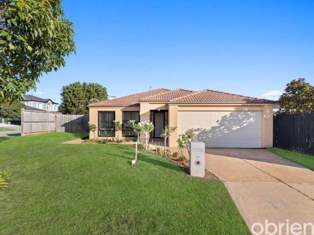 Spacious Family Living in a Sought After Mornington Location