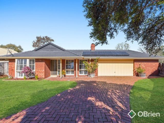 Spacious Family Living in a Prime Frankston Location