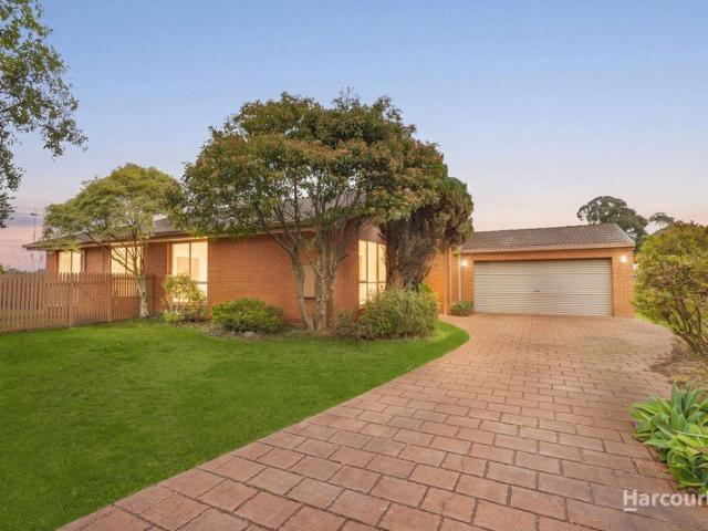 Spacious Family Living in a Quiet Rowville Setting