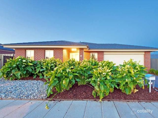 Spacious Family Living in a Quiet Tarneit Court