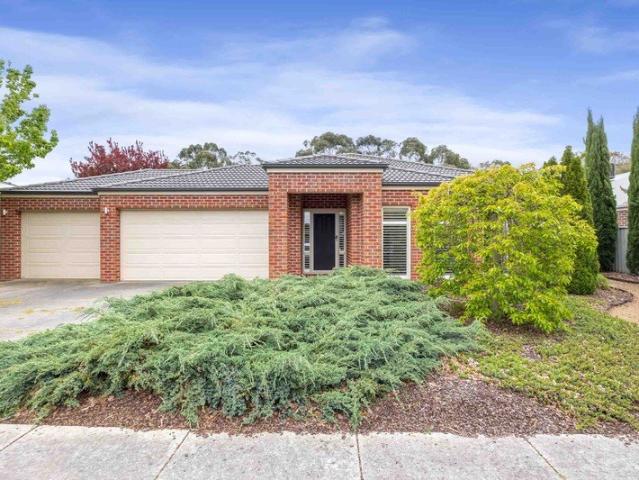 Spacious Family Living in Alfredton