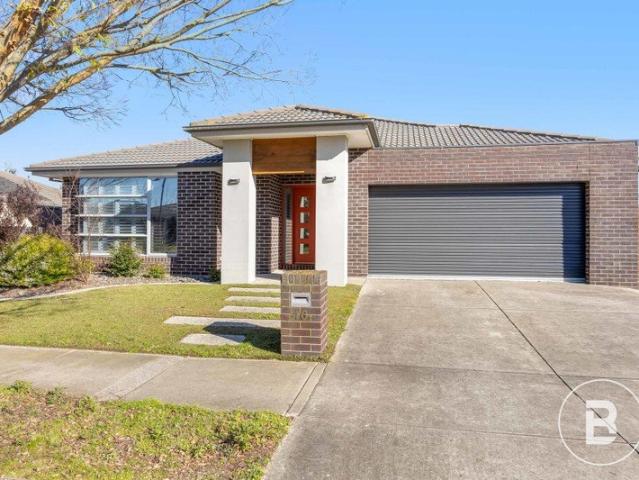 SPACIOUS FAMILY LIVING IN ALFREDTON