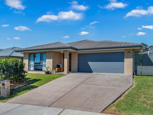 Spacious Family Living in Bolwarra Heights