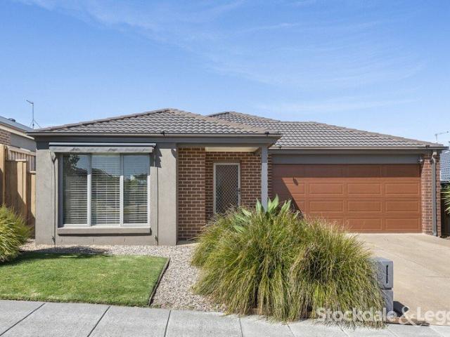Spacious Family Living in Drysdale