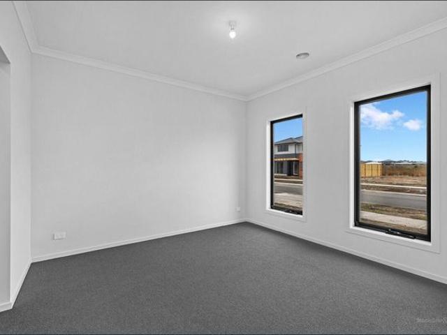 Spacious Family Living in Junction Village