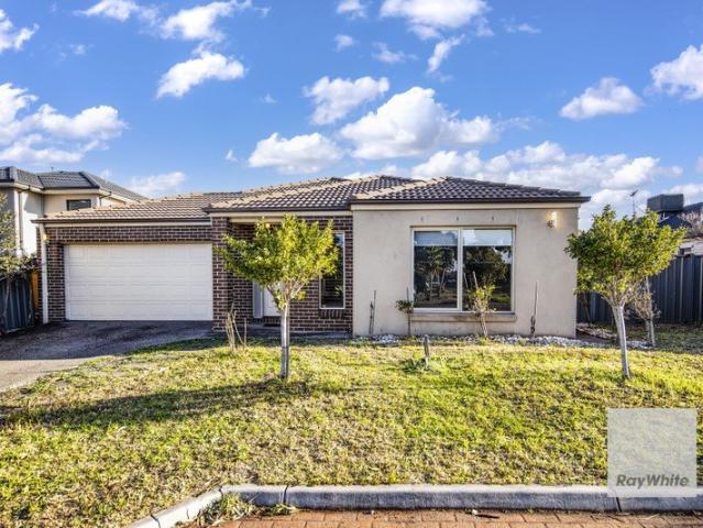 Spacious Family Living in Prime Deer Park Location