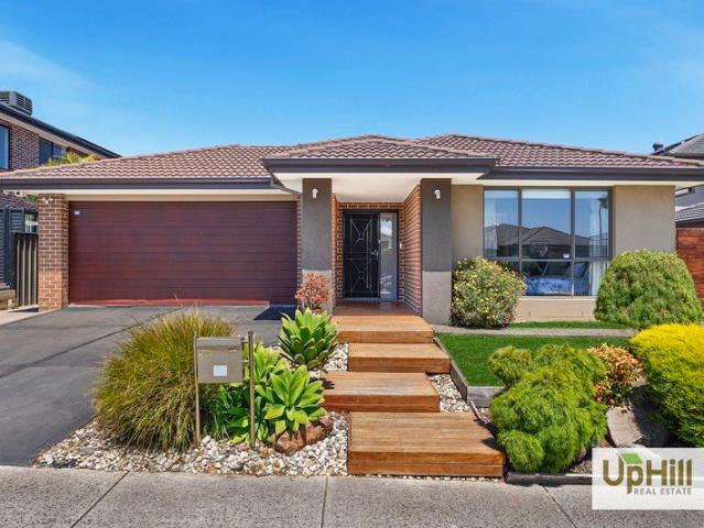 Spacious Family Living in Selandra Rise Estate