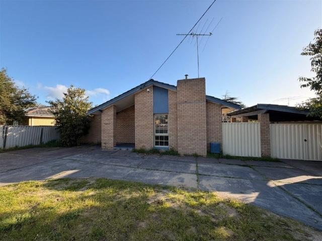 Spacious Family Living in the Heart of Wanneroo