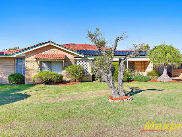 Spacious Family Living in the Heart of Willetton!