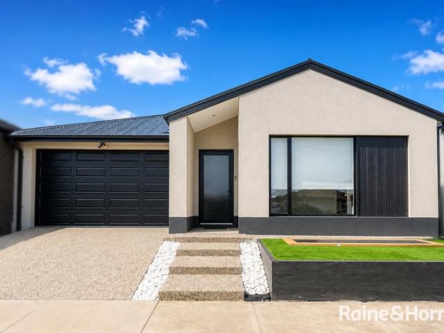Spacious Family Living in the Heart of Donnybrook