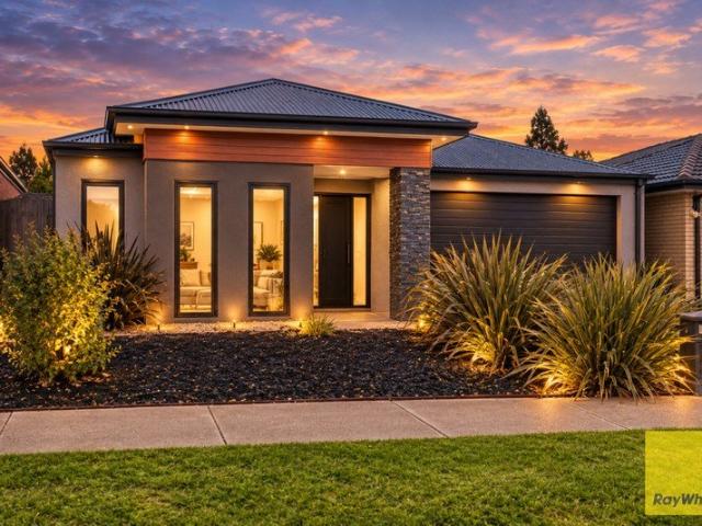 Spacious Family Living in the Heart of Kingsford Estate