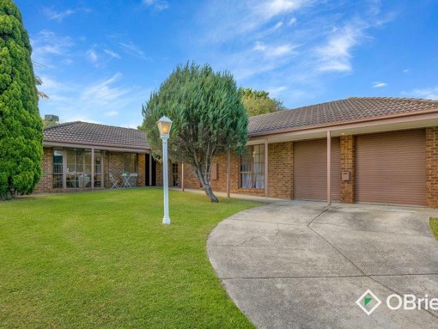Spacious Family Living in the Heart of Lakewood