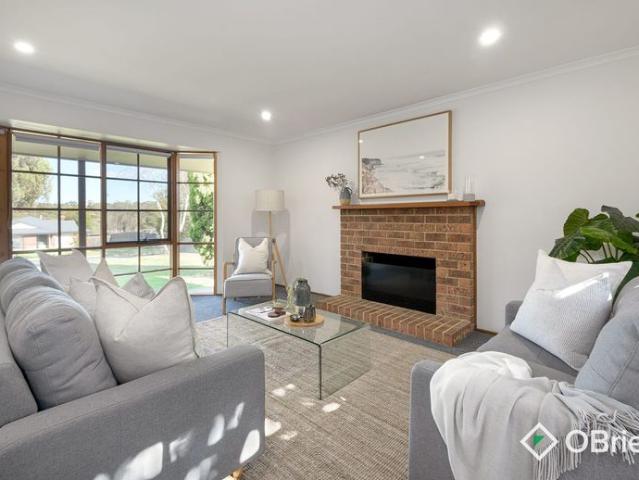 Spacious Family Living in the Heart of Lakewood