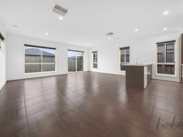 Spacious & Modern