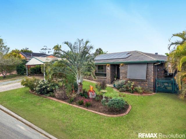 Spacious Family Living in Ultra Convenient Location with Pool, Shed and side access in the Heart of Shailer Park!
