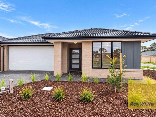 Spacious Family Living with a Practical, Modern Design