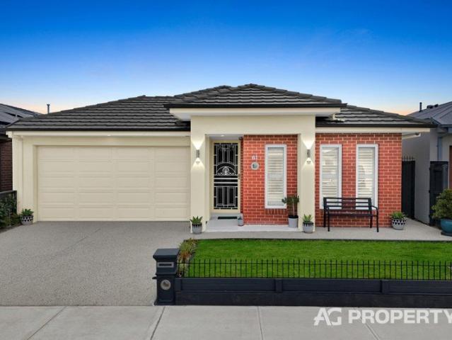 Spacious Family Living with a Separate Theatre and Outdoor Alfresco