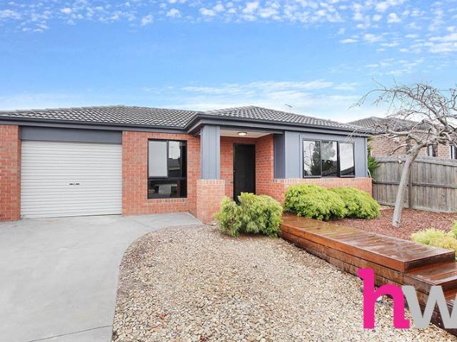 Spacious Family Living with Excellent Outdoor Entertaining