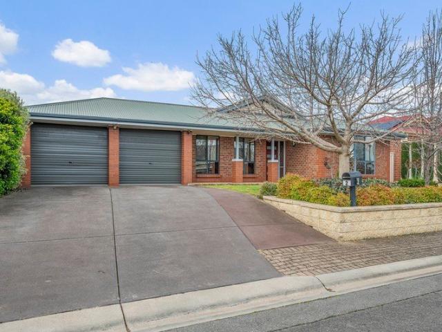Spacious Family Living with Excellent Outdoor Entertaining