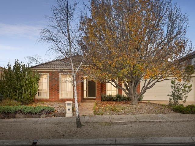 Spacious Family Living with Exceptional Outdoor Entertaining