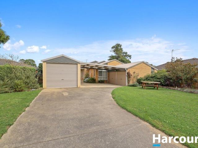Spacious Family Living with Exceptional Shedding & Entertaining!