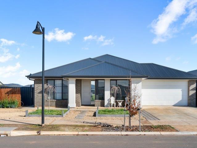 Spacious Family Living with Huge Backyard & Rainwater Savings