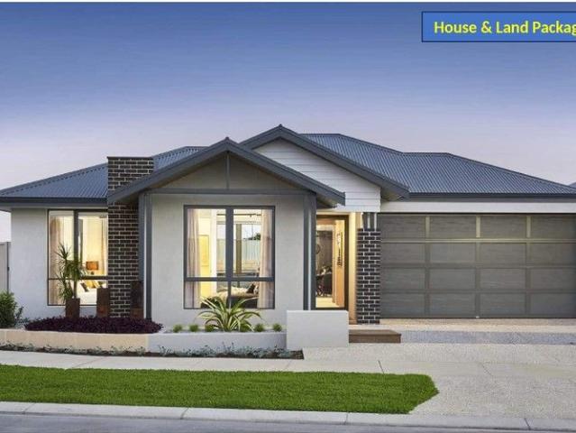Spacious family living with modern design