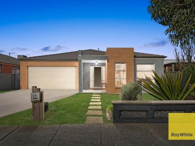 Spacious Family Living with Space to Entertain