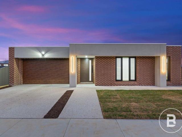 Spacious Family Living with Striking Street Appeal