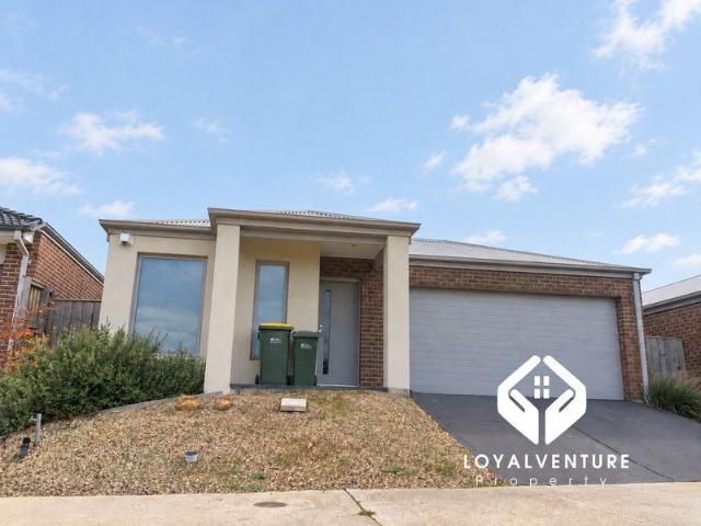 Spacious Family Living with Superb Outdoor Entertaining