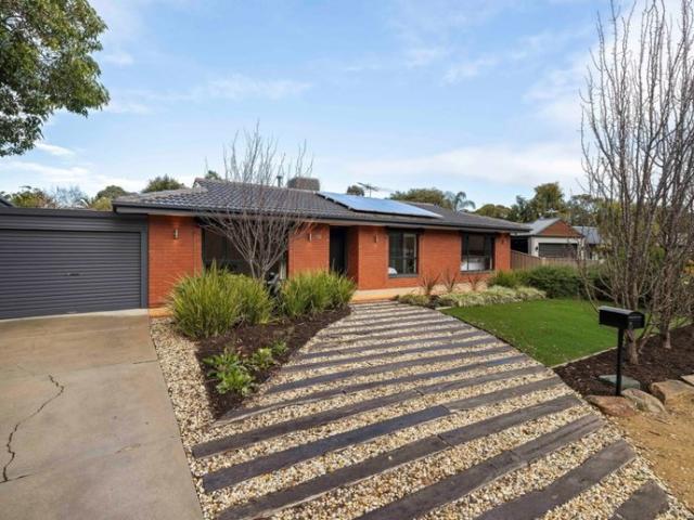 Spacious Family Living with Pool & Outdoor Entertaining