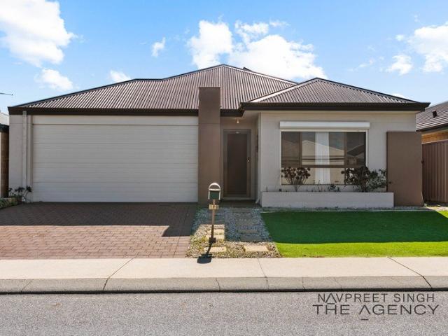 Spacious Family Living with Theatre on a Generous 415sqm Block
