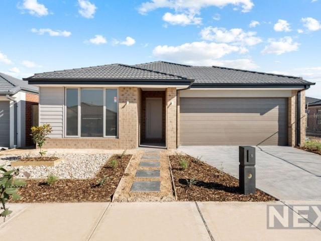 Spacious Family Living with Theatre Room & Alfresco in Prime Brookfield Location