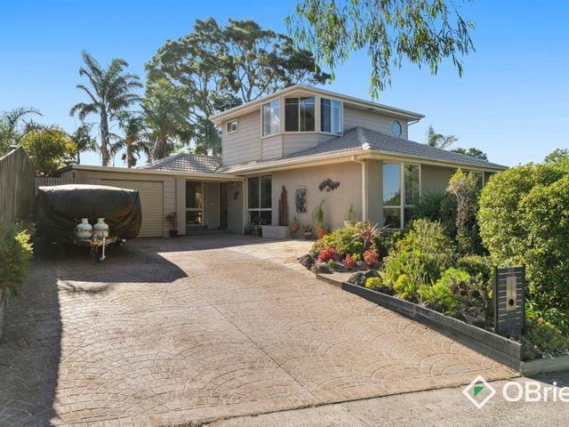 Spacious Family Living with Versatile Layout & Treetop Views