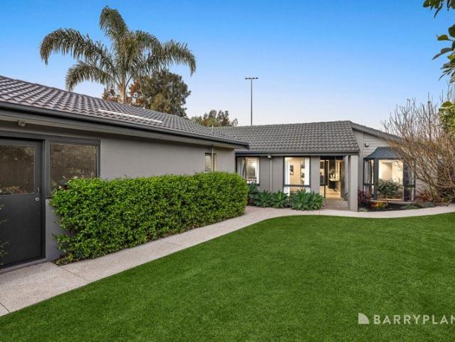Spacious Family Sanctuary