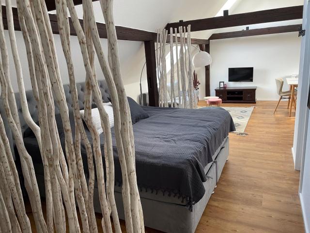 Spacious & fashionable studio in Eisenach