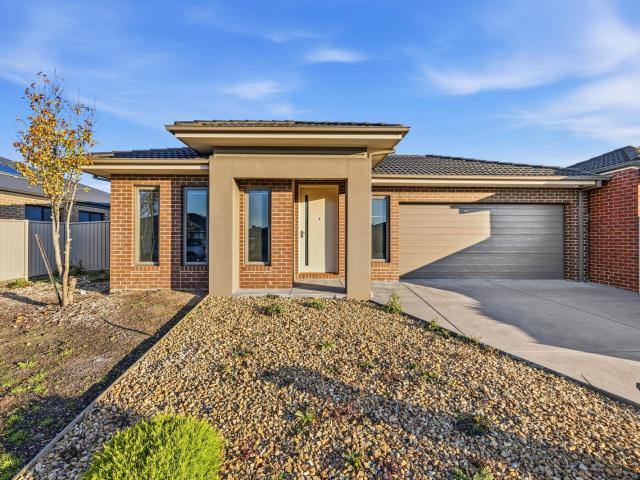 Spacious four bedroom Alfredton living
