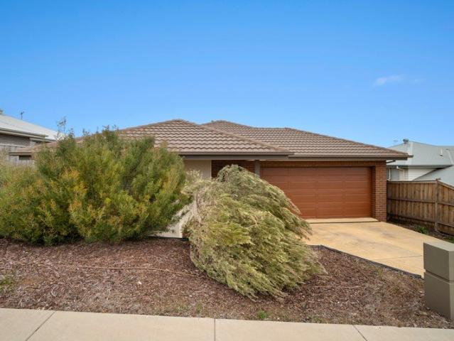 Spacious four bedroom family home in Smythes Creek