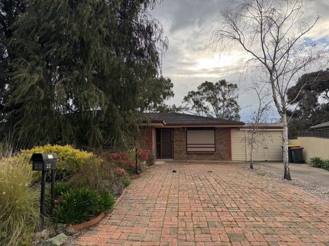 Spacious Four Bedroom Home with Excellent Shedding & Entertaining Space