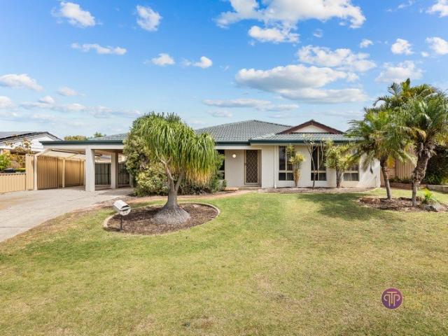 Spacious Four Bedroom Home in Thornlie