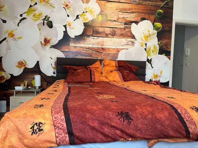 Spacious flat with garden terrace in the Centre of Goch