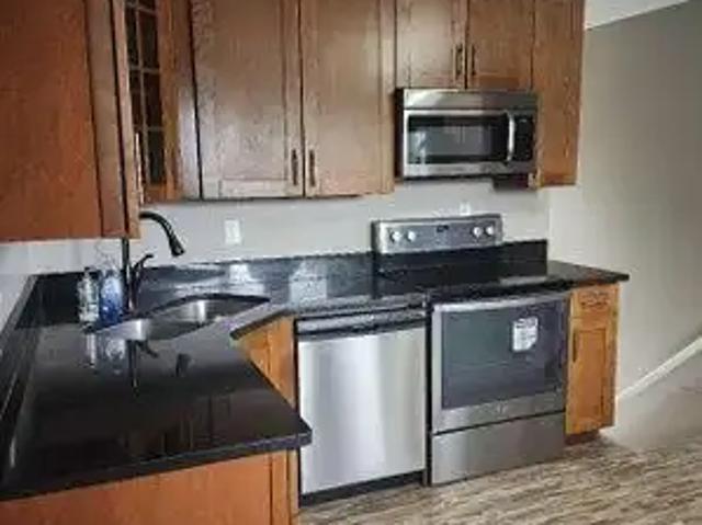 Spacious 4 Bedroom Basement Near Transit / LRT