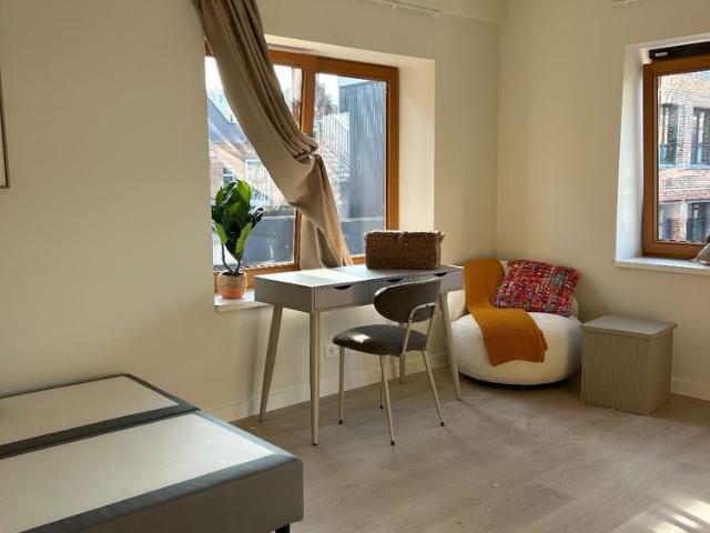Spacious, fully renovated and furnished studio for rent in Mechelen