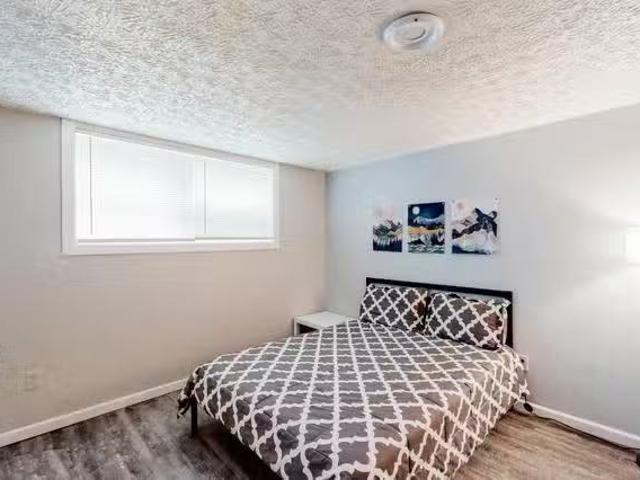 Spacious Fully Renovated Forest Park Home id. 621