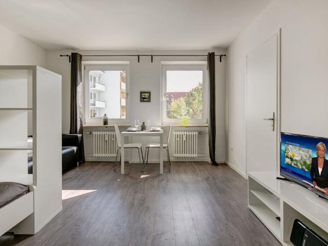 Spacious furnished 1 room apartment for rent