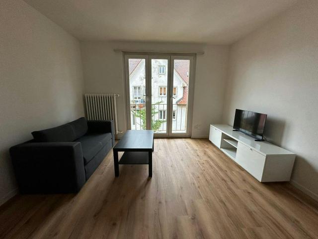 Spacious Furnished 2.5 Room Apartment in Horgen, Horgen Amsterdam Apartments for Rent