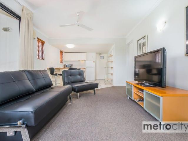 Spacious Furnished Apartment with Park Views✨