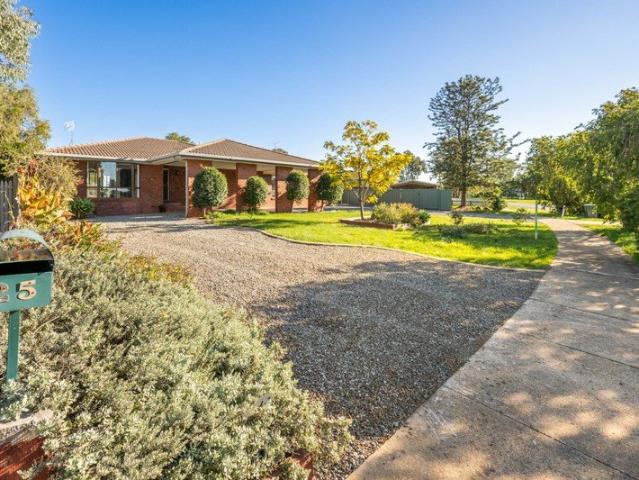 Spacious home on a huge 1,365m² block opposite parkland