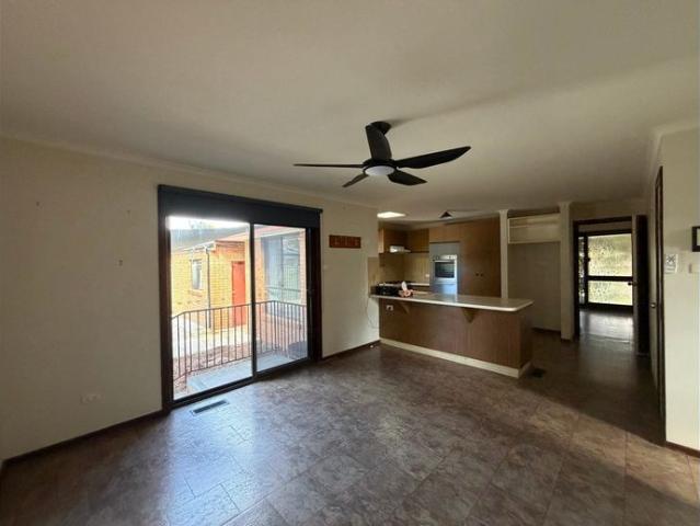 Spacious Home with Great Shedding!
