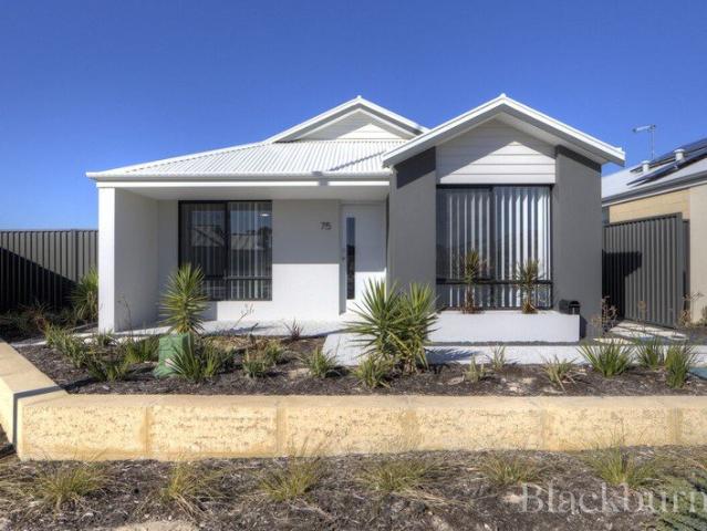 Spacious Home with Large Backyard